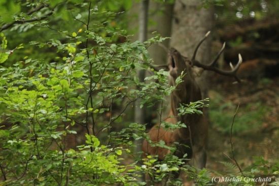 Toto není pro každého...