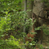 Toto není pro každého...