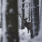 Dnešní nečekané setkání