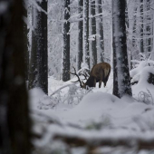 To byl první pohled,měl jsem jak vy říkáte-zimomriavky!