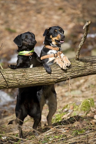 Konečně krásný den....