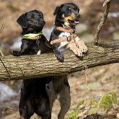 Konečně krásný den....