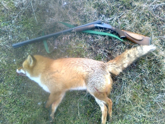 Prvá s novou puškou