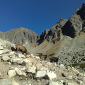 v.tatry