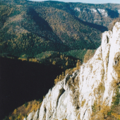 holy kameň na jeseň