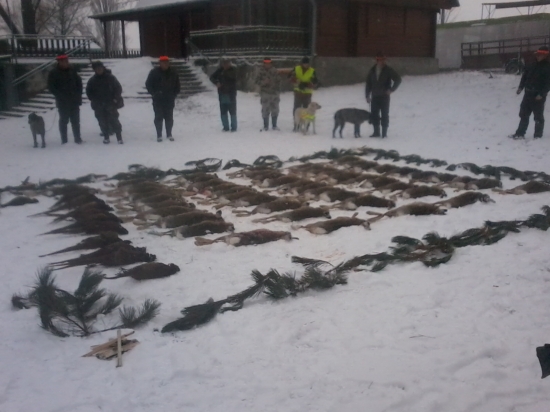 Jelka 2010