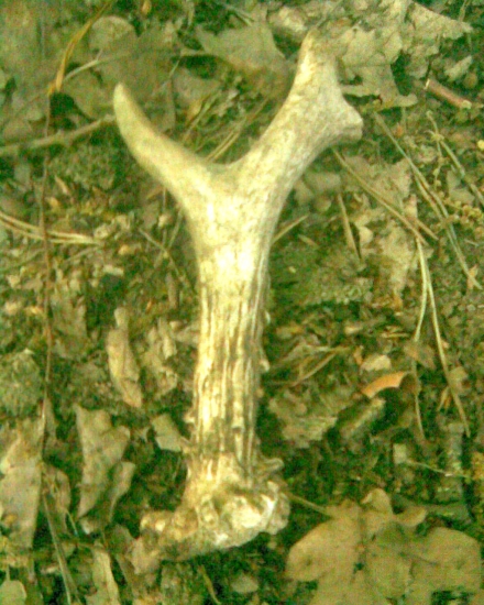 môj dnešný zhodík