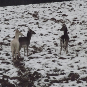 Dnešná ranná pochôdzka