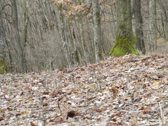 Dnešny, prvý pohľad