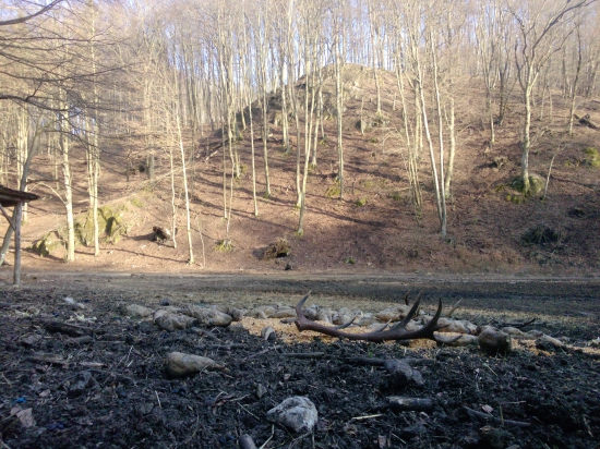 Odmena za krmenie......