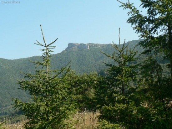 príroda
