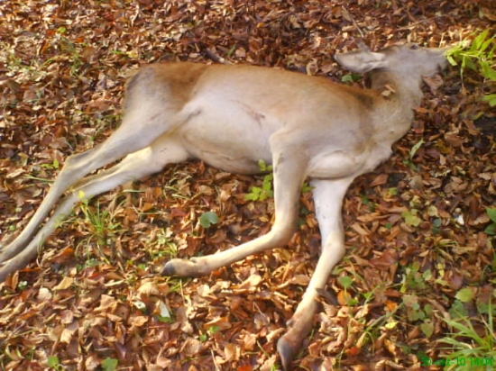 dnes sa konečne zadarilo