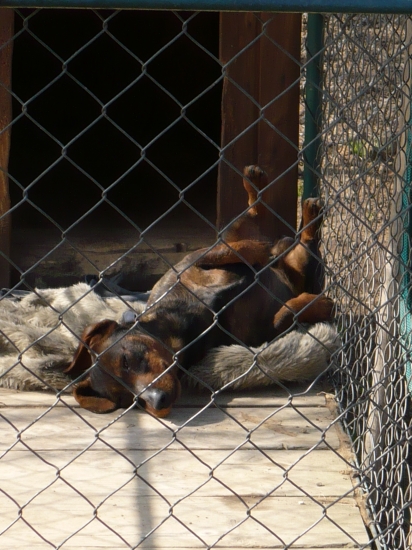 to je... vegáč!:-)