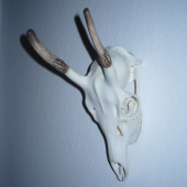 Sika