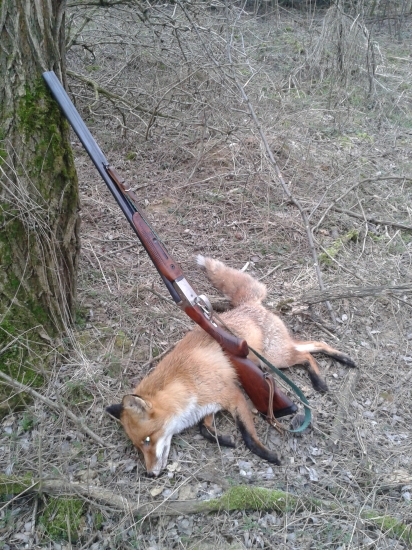 bežal mi oproti :-)