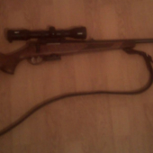 ZKB 680 Fox - 22.Hornet