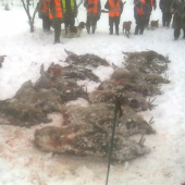 ... Morava sa opäť ukázala:-)