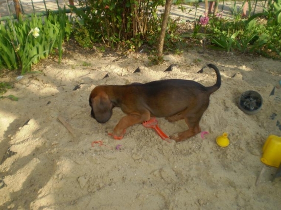 ...skúma nový terén...