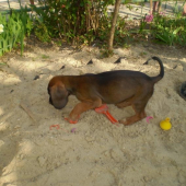 ...skúma nový terén...