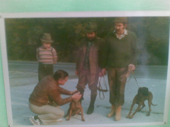 ... ešte za mlada ...