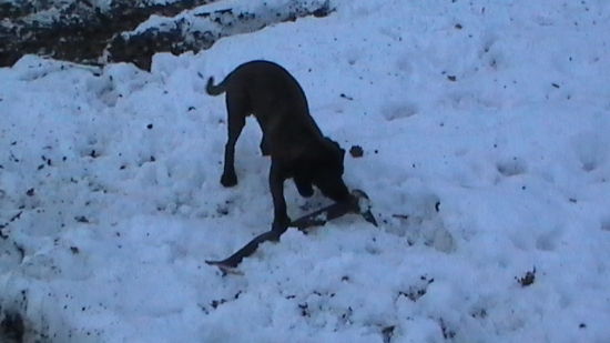 ... aj takto sa hľadajú ...