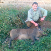 ocino a diiviačik č.5