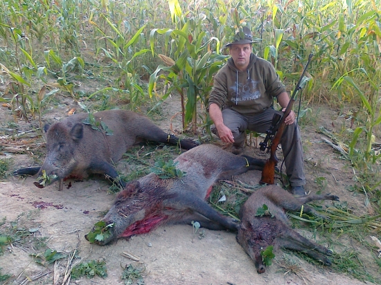 keď sa darí tak sa darí