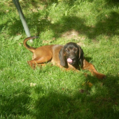 ešte si pretrem fúzy a môžme sa fotiť