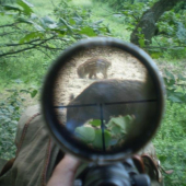 ...z dlhej chvíľe...