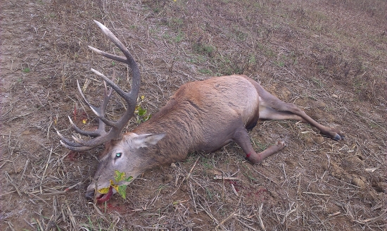 ... aj králi odchádzajú - nech žijú noví králi ...