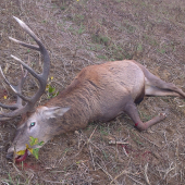 ... aj králi odchádzajú - nech žijú noví králi ...