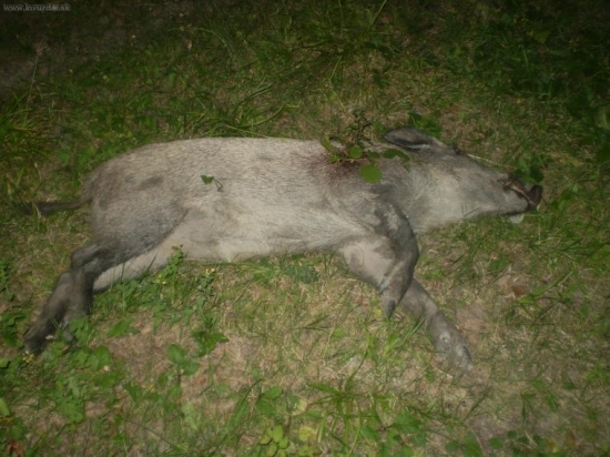 ďalší z ,,OBORY,,