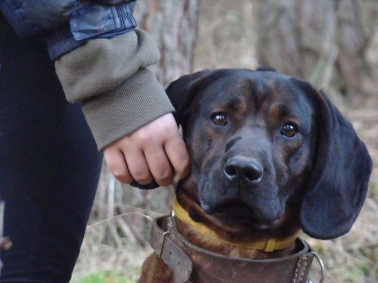 PRIATEĽ KTORÝ ŤA NEZRADÍ