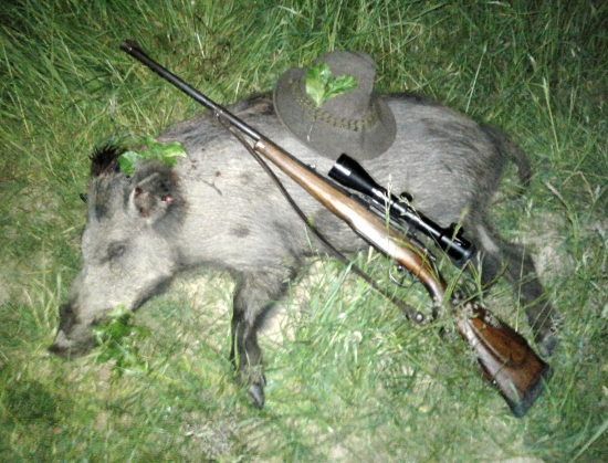Lanštiačik2