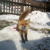 ,,foť !,,- svieti mi slnko...