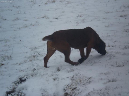 ...niečo voňavé...