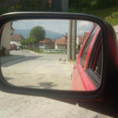 divé kačky na prechádzke