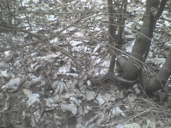 po vytiahnuti mal krvavu ruzicu