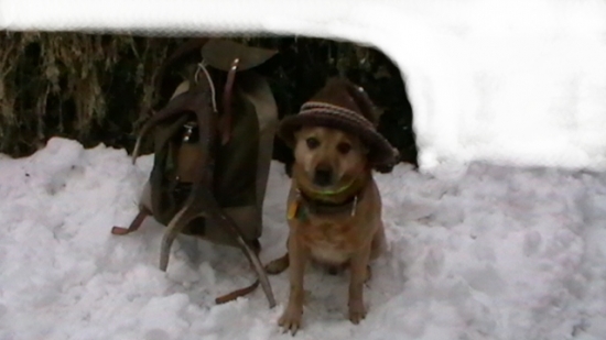 moj pomocnik a desatorak...rok 2008