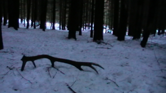 ranna pastva pre oci 199,8cic