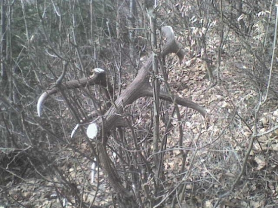 takto sa nasli ...rozpravka