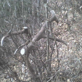 takto sa nasli ...rozpravka