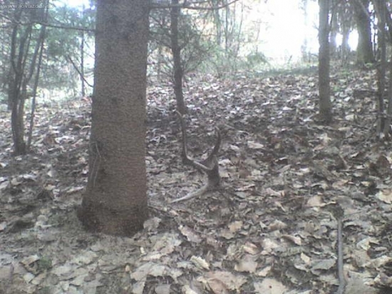 potesil...