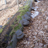 Ako by ich jedna mater mala:-)