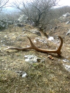 menší ale potešil