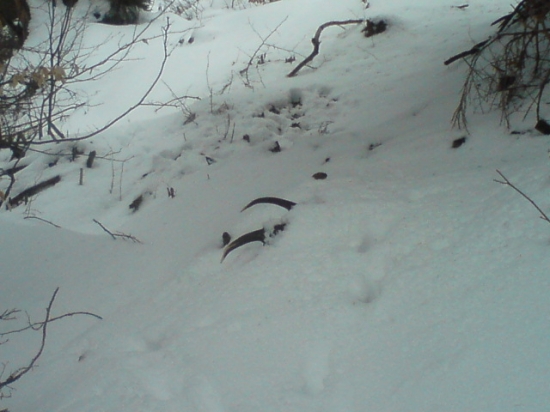 švagor može konečne spať :D