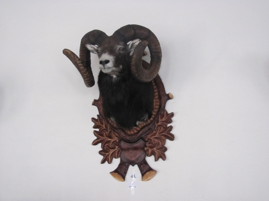 prehliadka trofejí Topolčianky