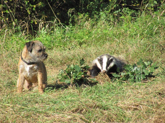 nebojte sa mne neutečie , sledujem ho :)