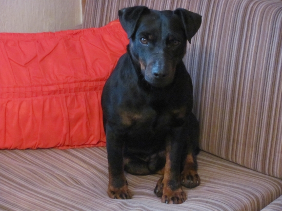 Gasko Komjatické Jazero