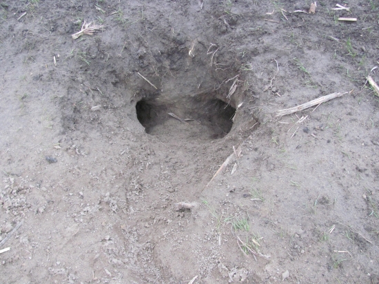 cez víkend zistíme či je niekto doma :))